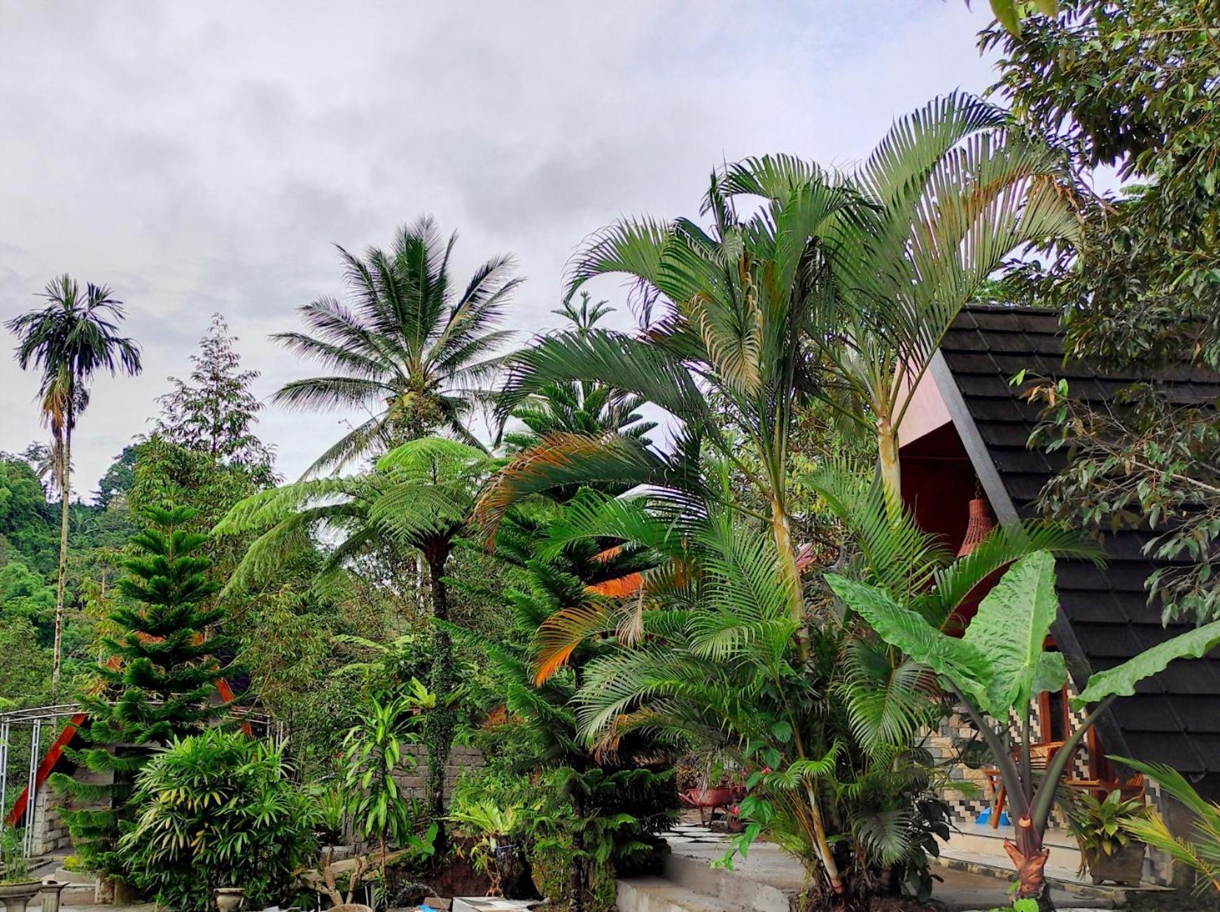 Goa Walet Cottage Praya Exteriér fotografie